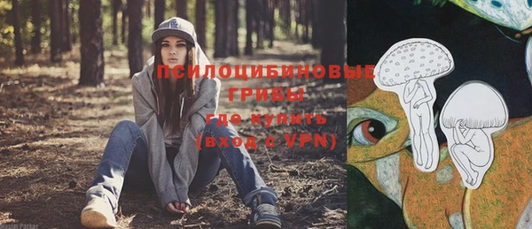 спайс Алексеевка